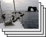 Feb 9, 2003 (1 of 2)