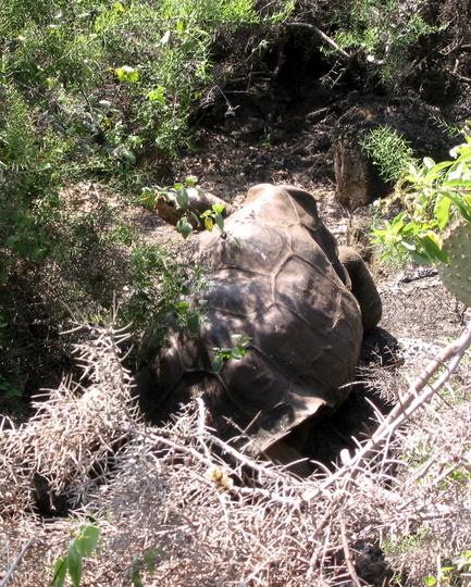 b26_img_0039