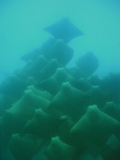b29_img_0033