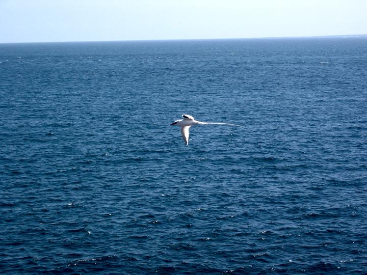 b32_img_0072