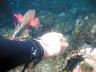 b06_img_0018
