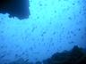 b08_img_0026