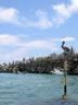 b26_img_0093