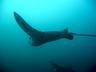 b29_img_0011