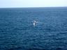 b32_img_0072